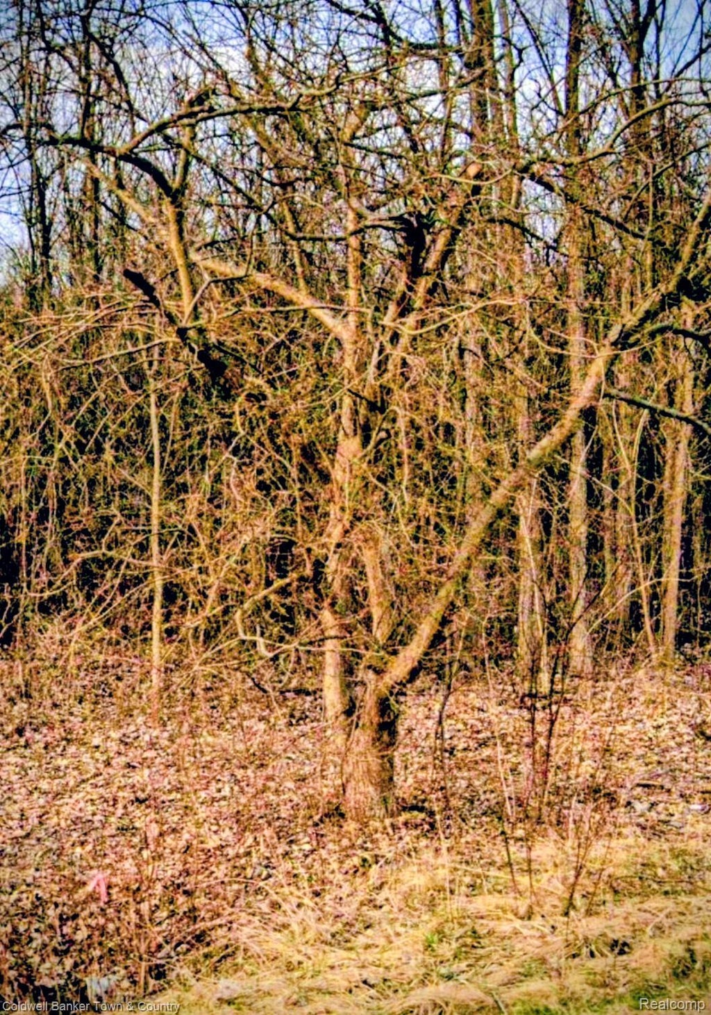 5931 N Territorial Road E, Salem township