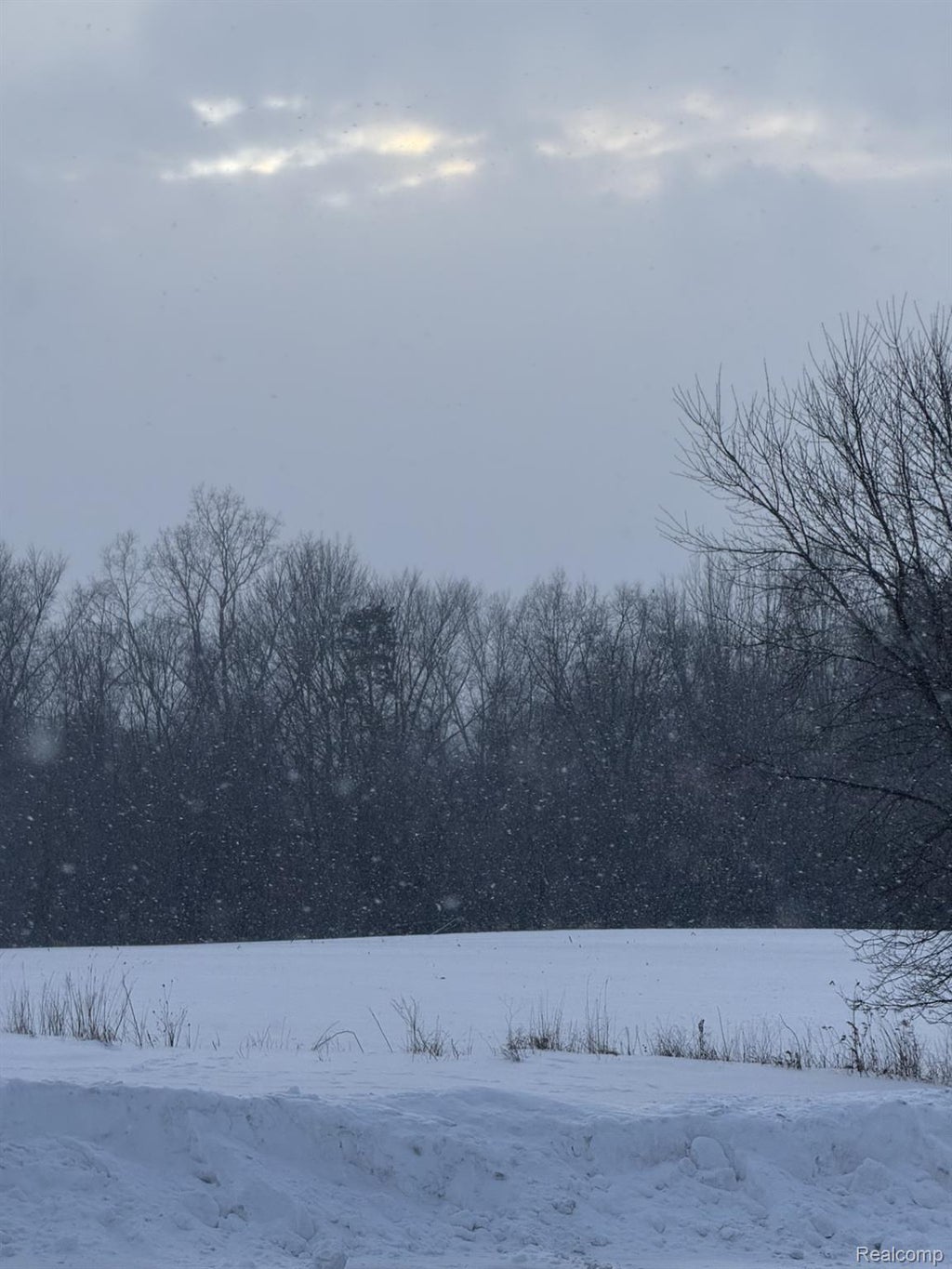 Vl Levalley Levalley Road, Columbiaville village