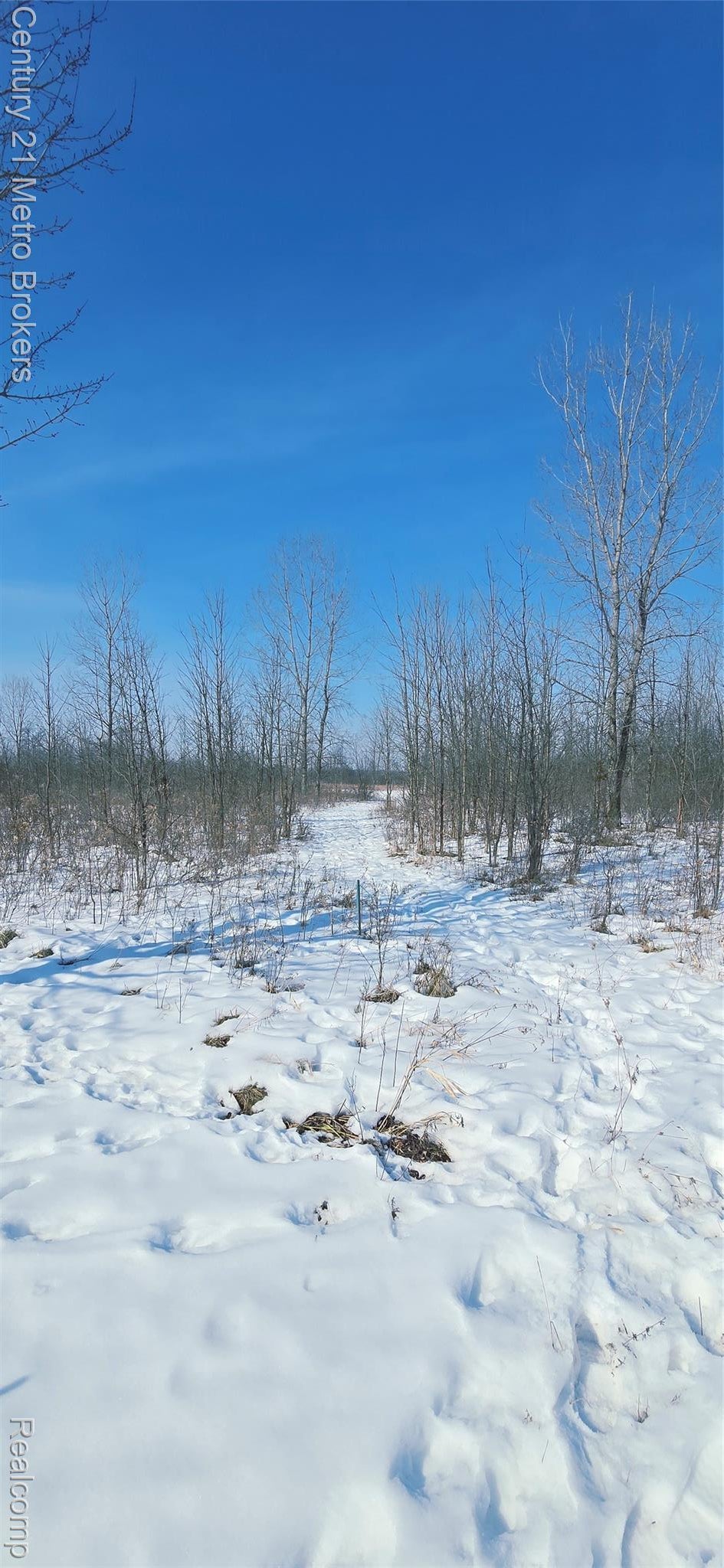 Parcel C Tabitha Lane, Grand Blanc charter township