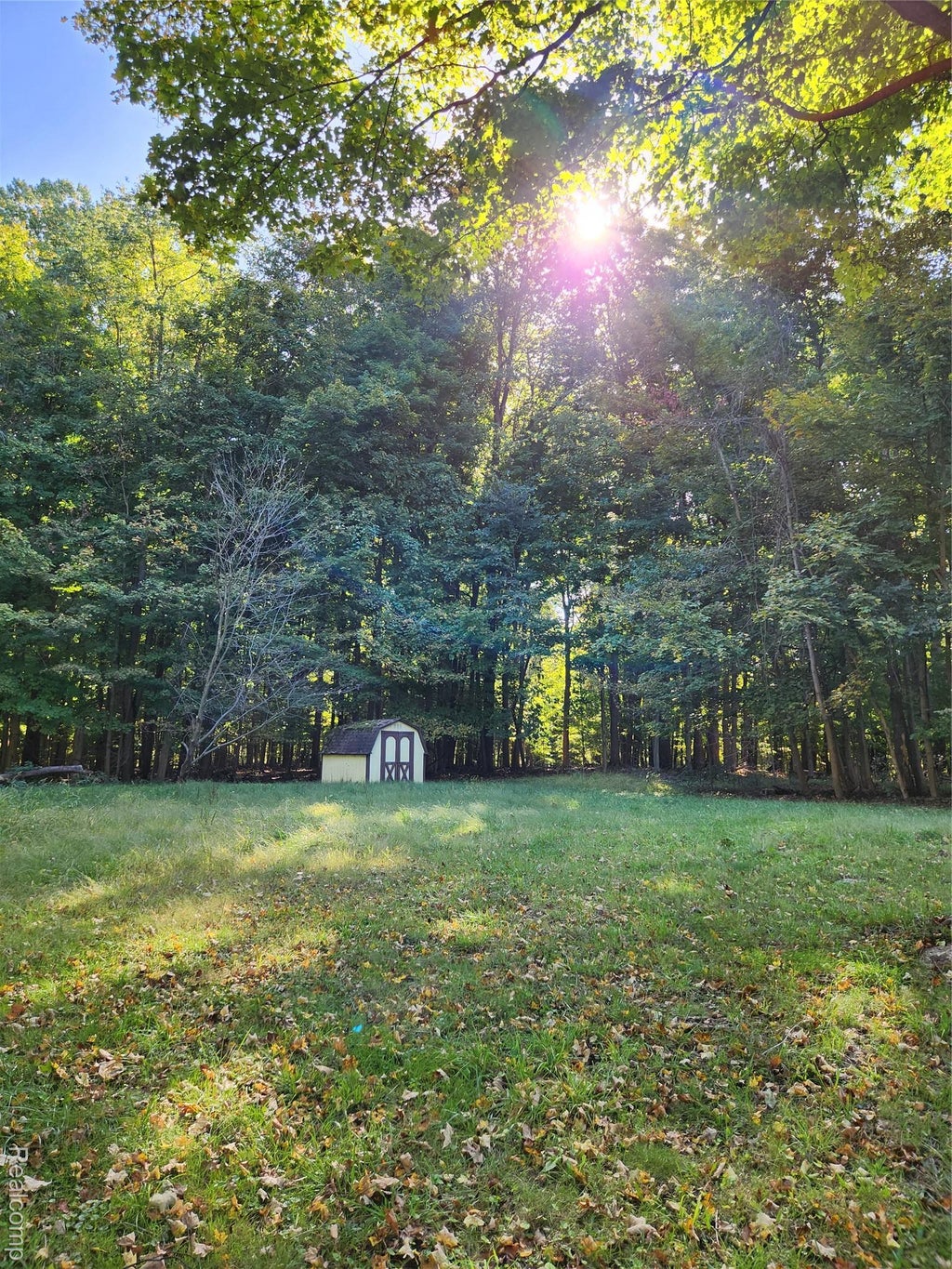 15973 Walnut Street, Buchanan township