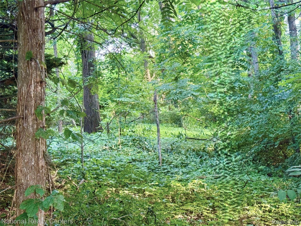 0000 Knob Hill Drive, Commerce charter township