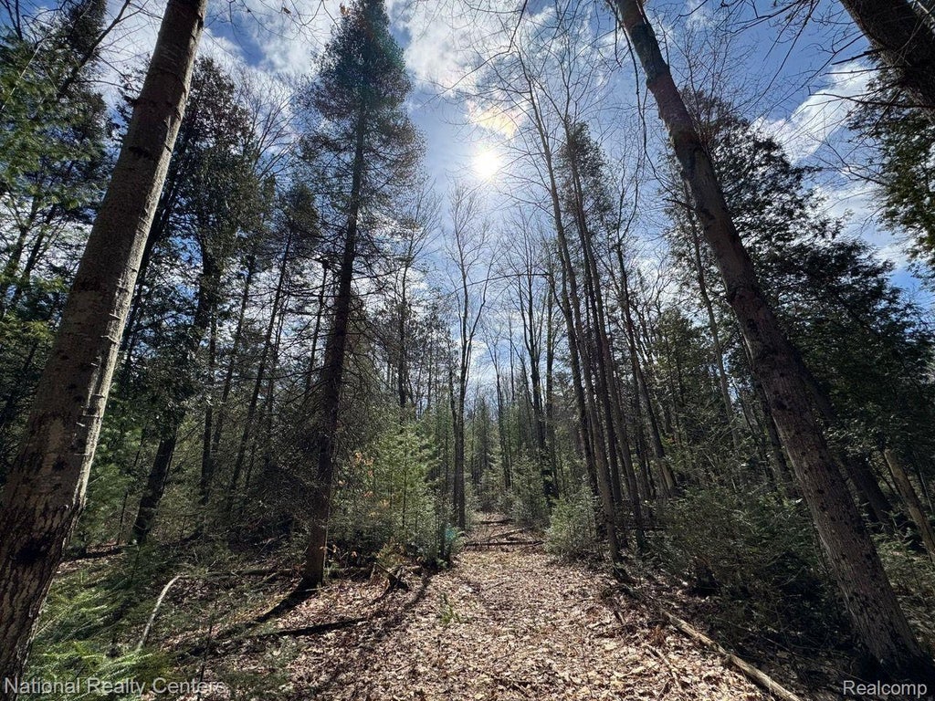 4233 Hardacre Trail, Roscommon township