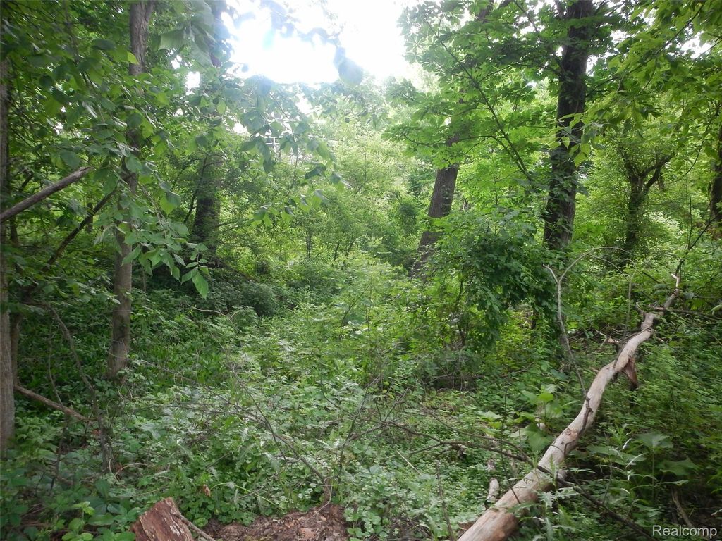 Johnson Drive | Lot 1, Lake Orion village