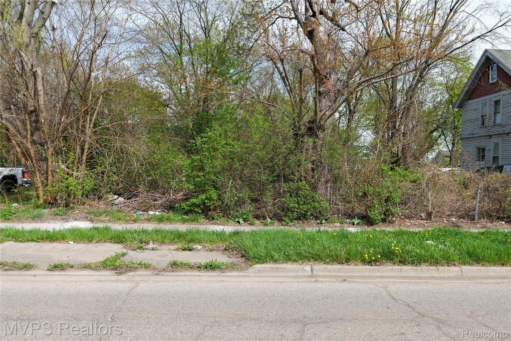 61 S South Paddock Street, Pontiac city