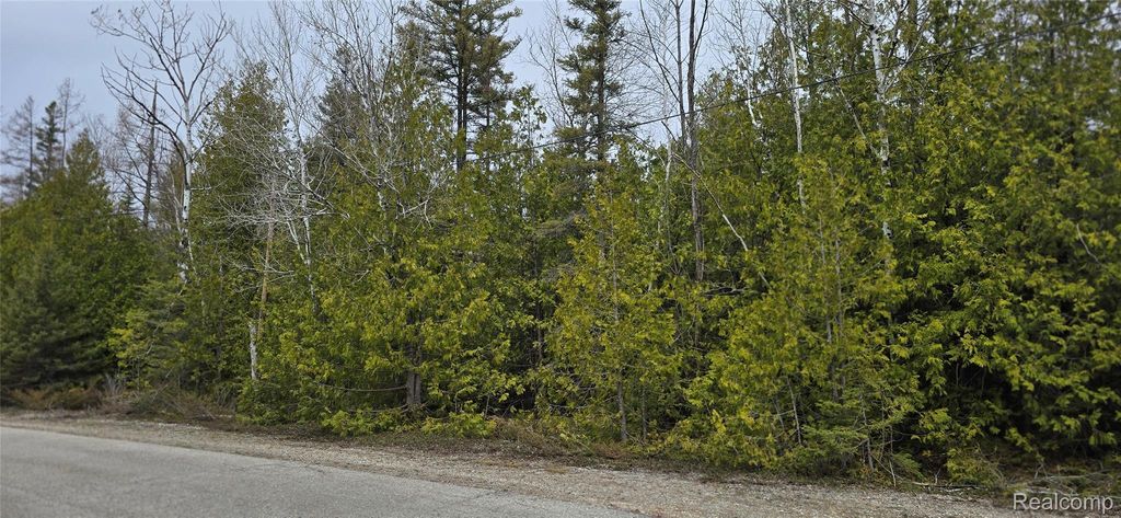 Vl Lot 332 Balsam Drive, Presque Isle township