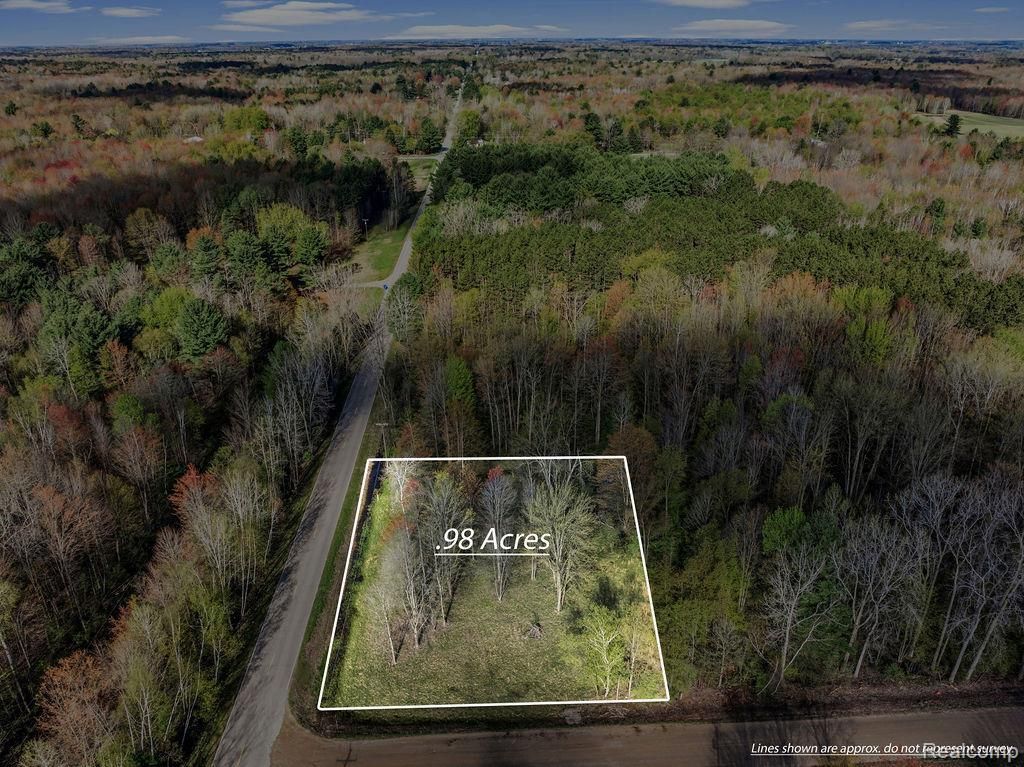 #0014 V/l Brown Road, Vassar township