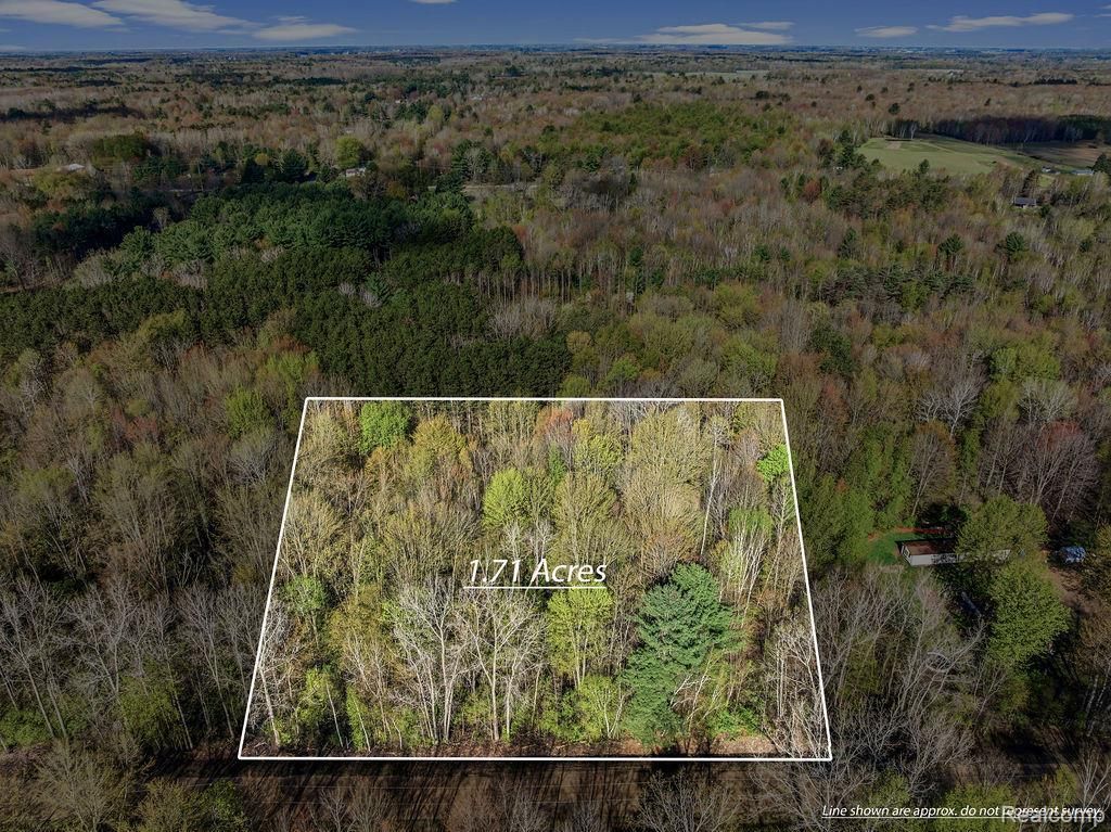 #0049 V/l Maplegrove Lane, Vassar township