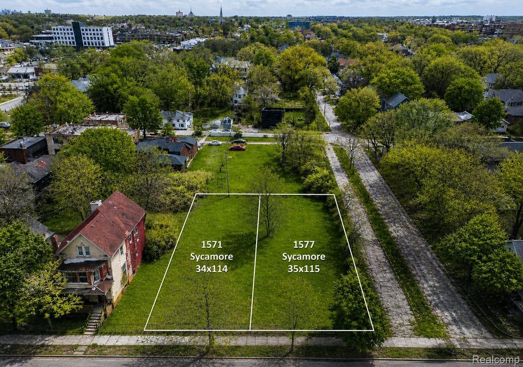 1571 Sycamore Street, Detroit city