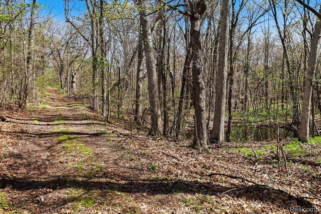 Parcel #3 Milford Rd, Rose township