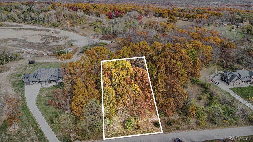 11136 Delphinium Drive, Tyrone township
