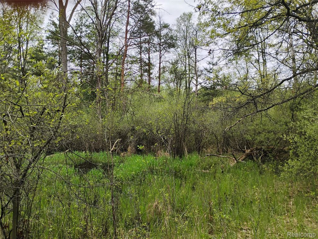 000 Middle Parcel C Middle Road, Highland charter township