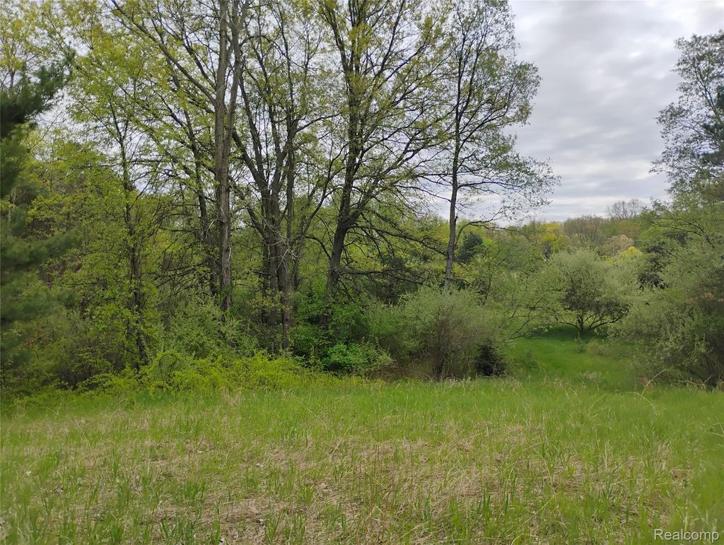 000 Middle Parcel C Middle Road, Highland charter township