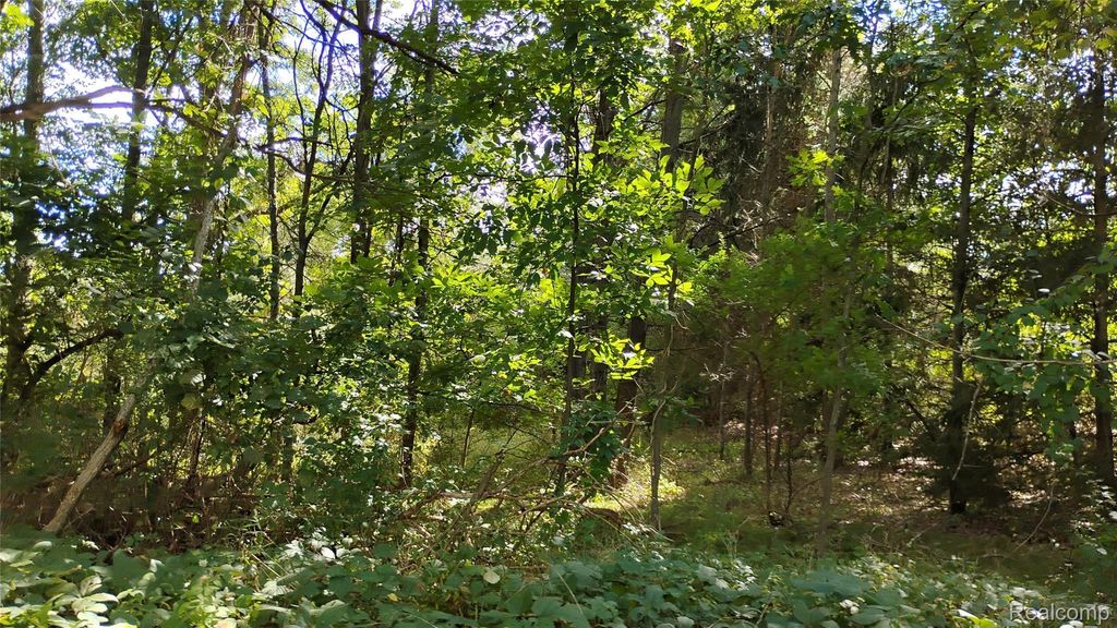 000 Middle Parcel D Middle Road, Highland charter township