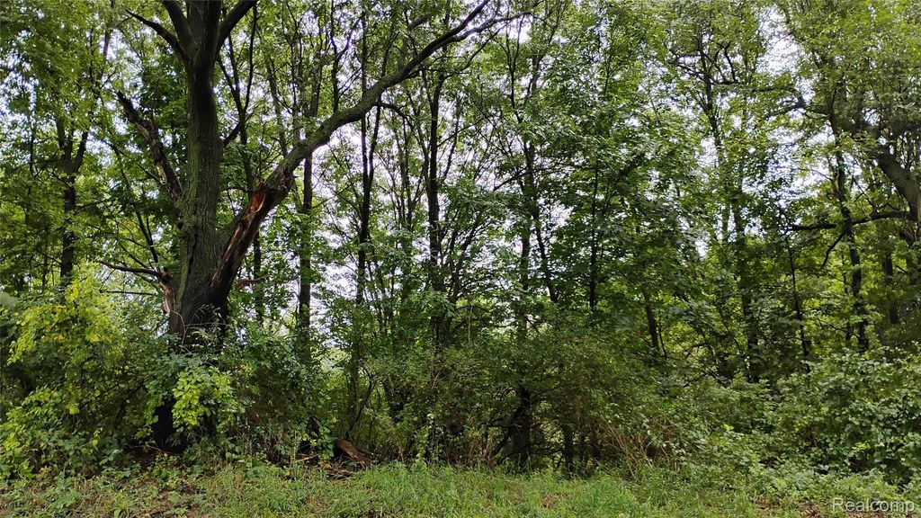 000 Middle Parcel D Middle Road, Highland charter township