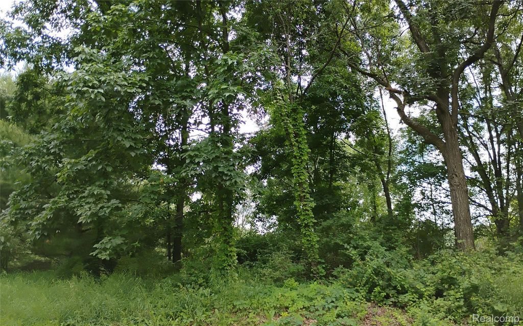 000 Middle V/l 18.12 Acre Middle, Highland charter township