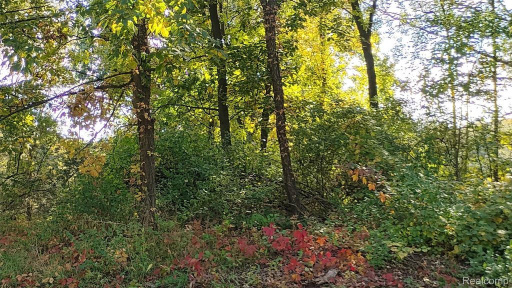 000 Middle V/l 18.12 Acre Middle, Highland