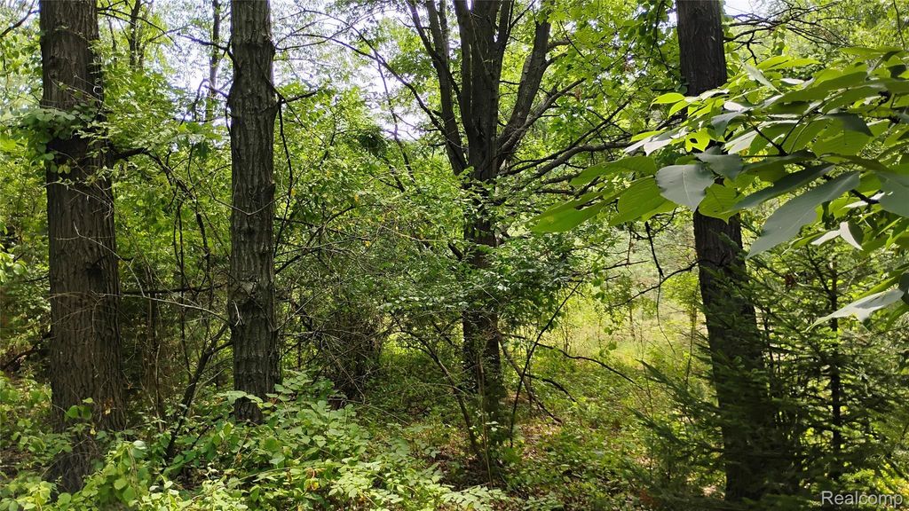 000 Middle V/l 18.12 Acre Middle, Highland charter township