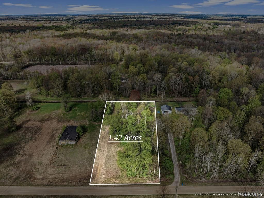 #0062 V/l Natures Nest Road, Vassar township