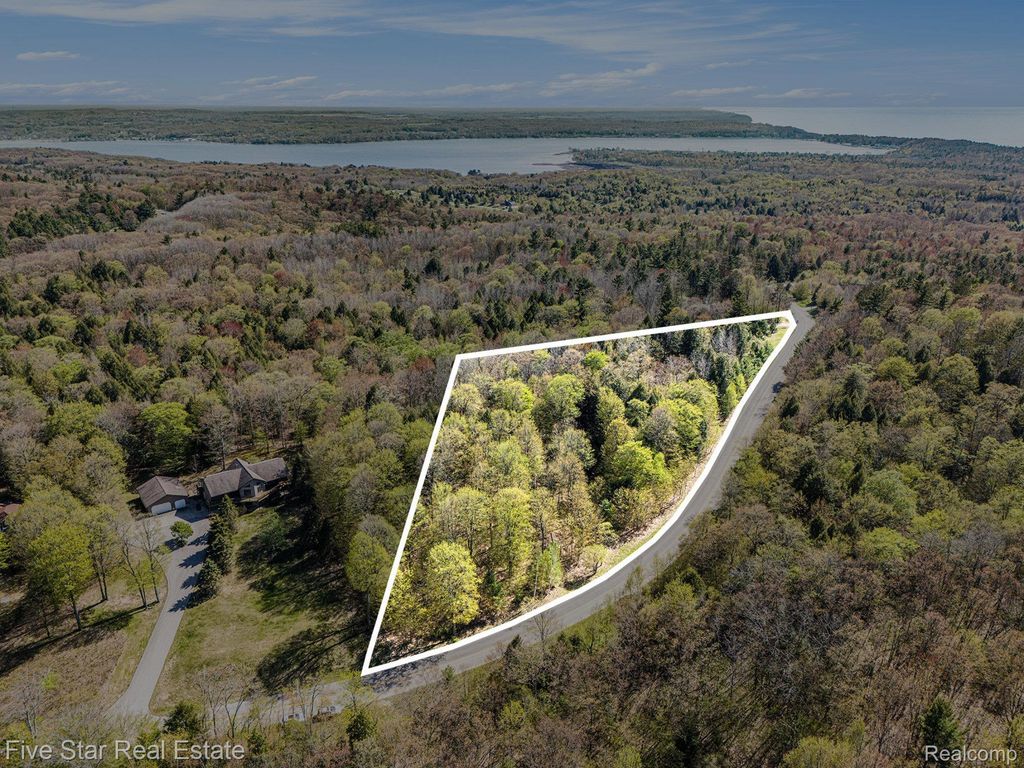 0000 Smith Rd, Onekama township
