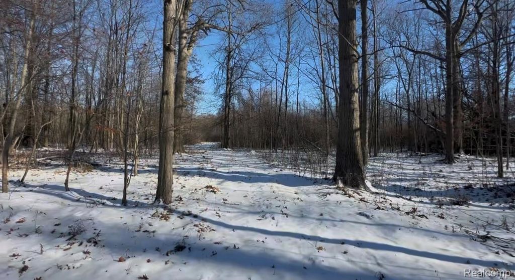 7021 Palms Road Road, Ira township
