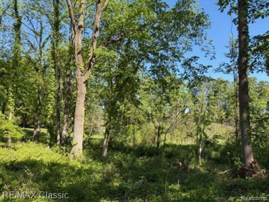 0000 Old Mill Road, Hamburg township