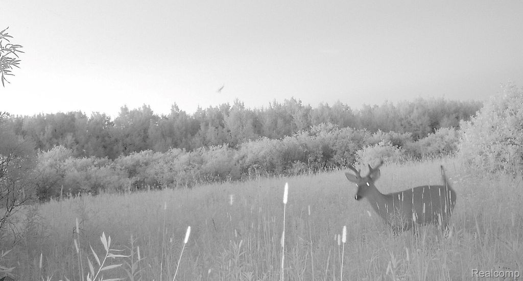 19 Mile Road, Rudyard township