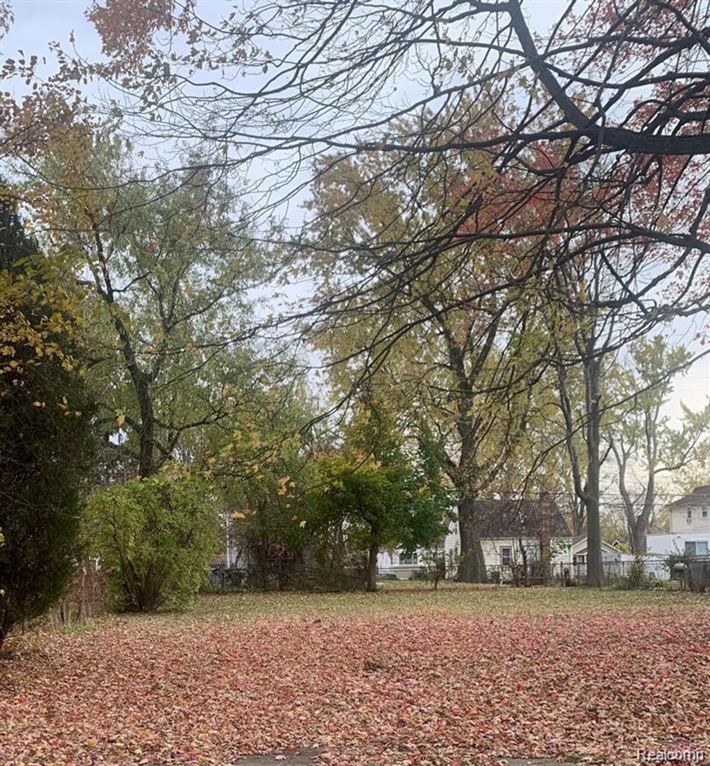 000 W Hayes Ave, Hazel Park city