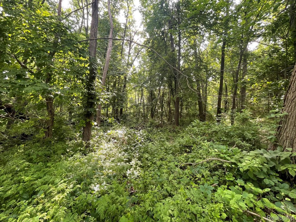 09 Tipsico Lake Road, Highland charter township