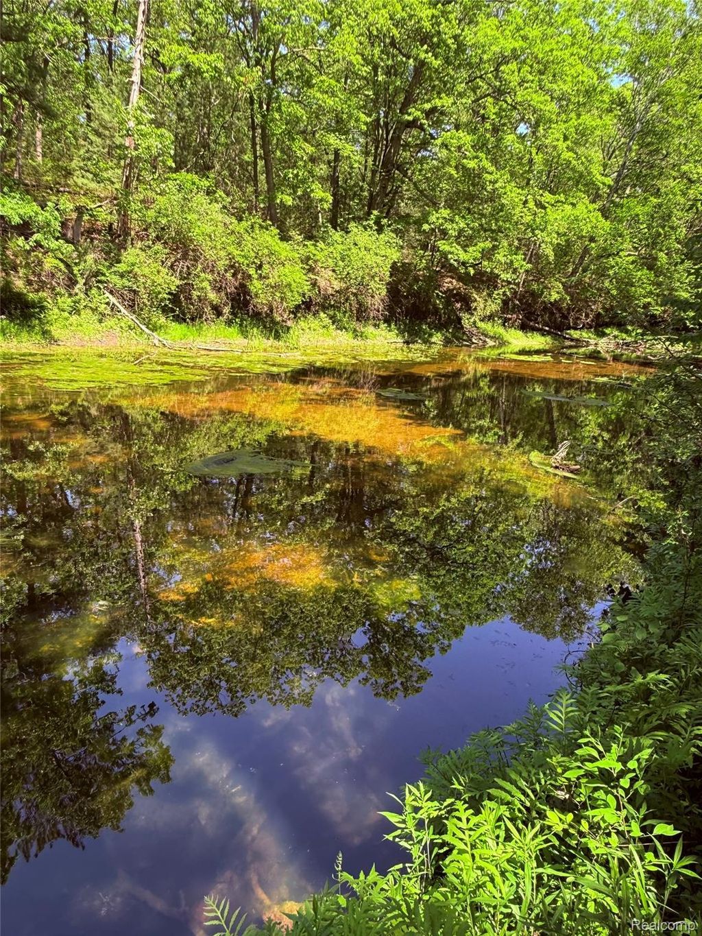 2620 Weaver Road, Hume township