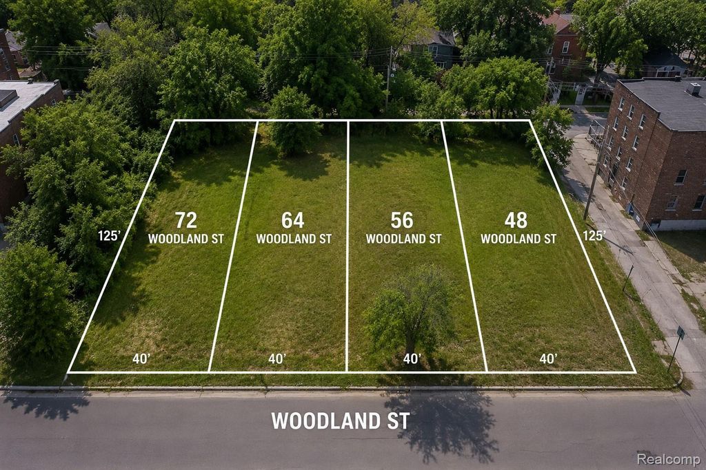 64 Woodland Street, Detroit city