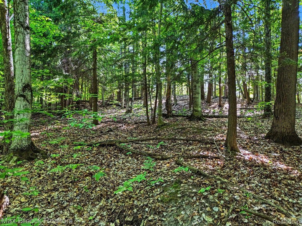125 Legend Trail, Custer township