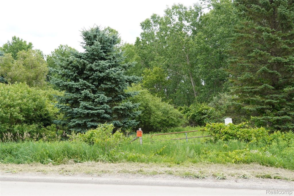 11349 Hogan Road, Fenton charter township
