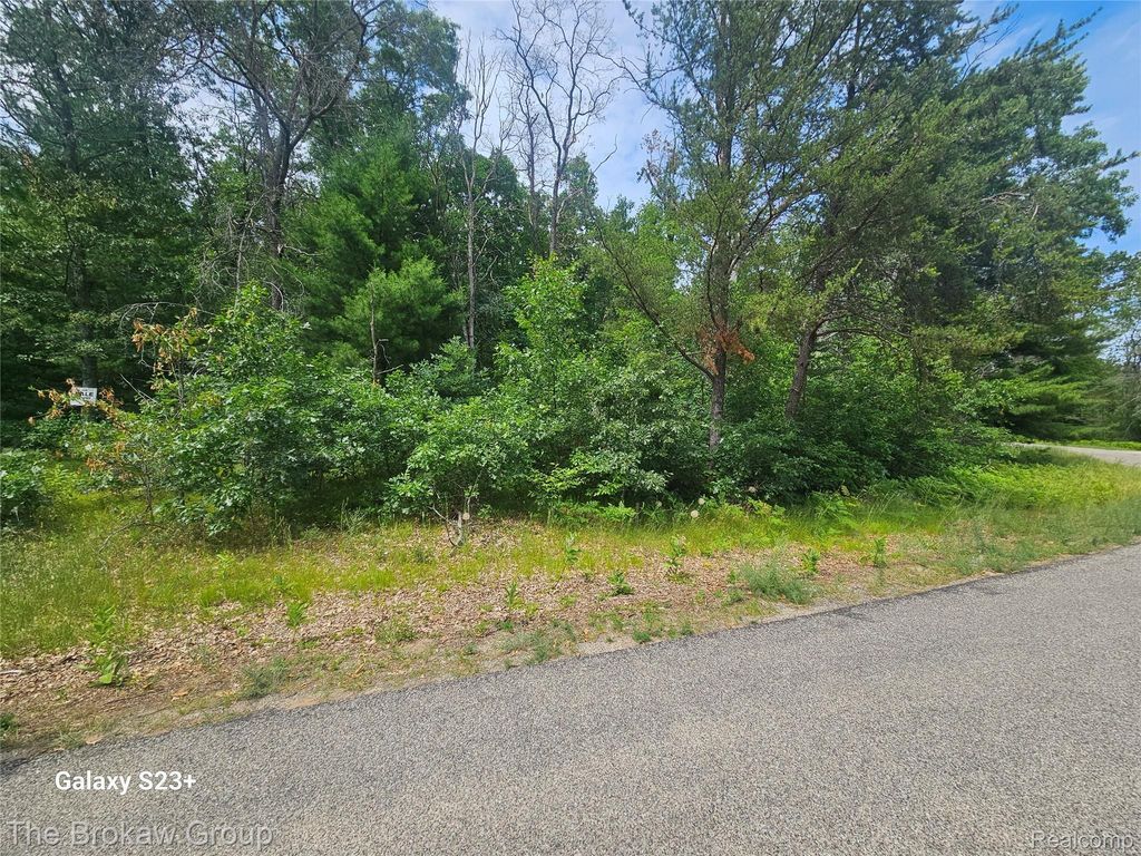 Acorn Lane, Roscommon township