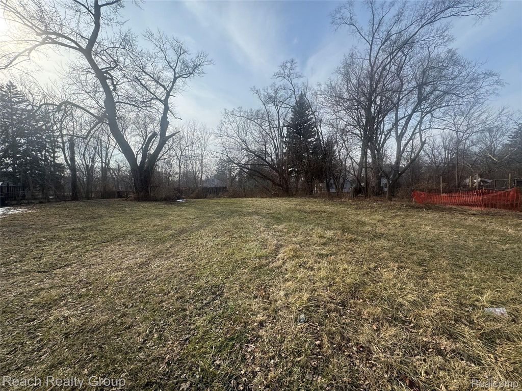 14199 Burt Road, Detroit city