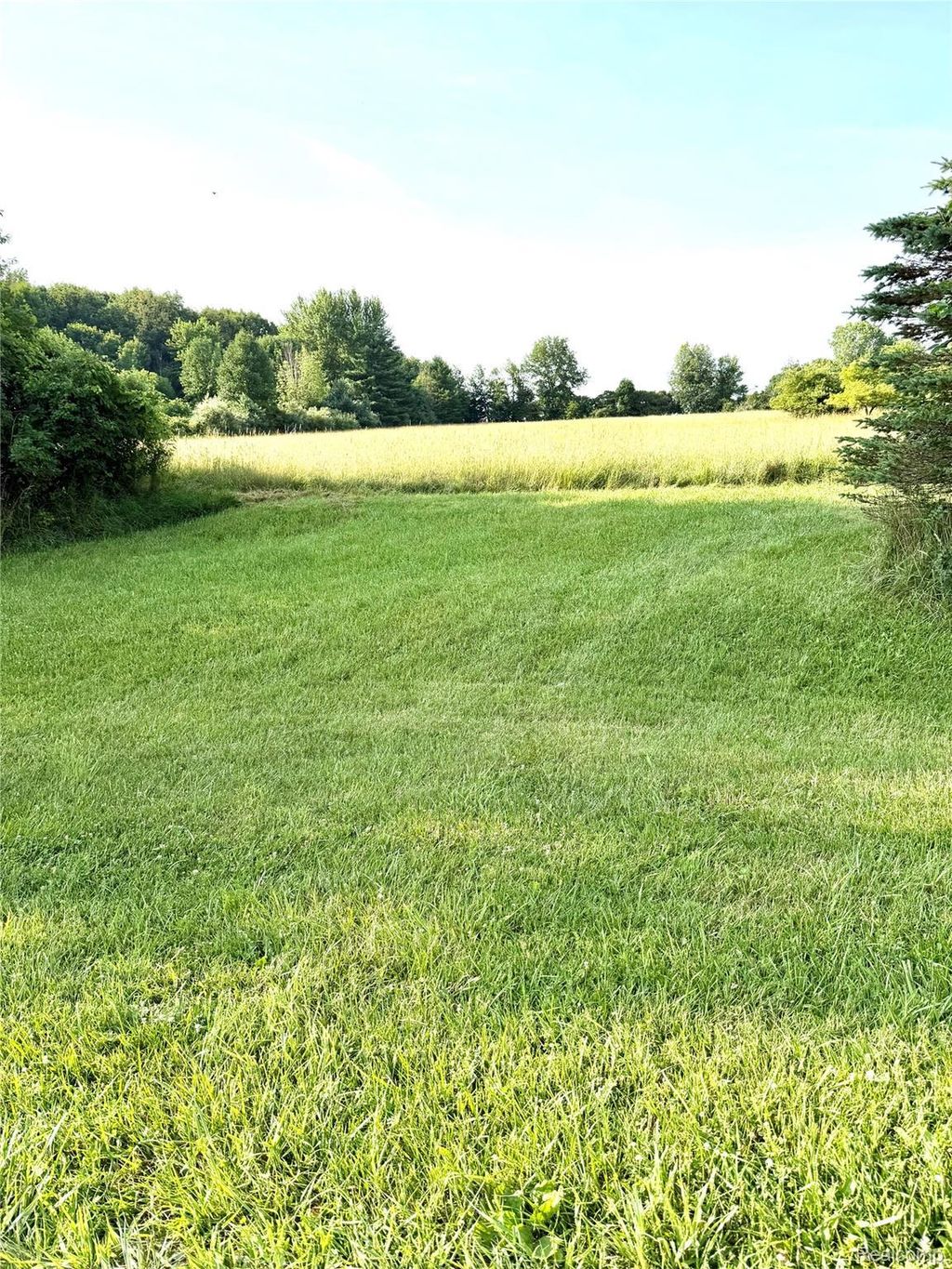 0070102220 Meadow Lane, Dryden township