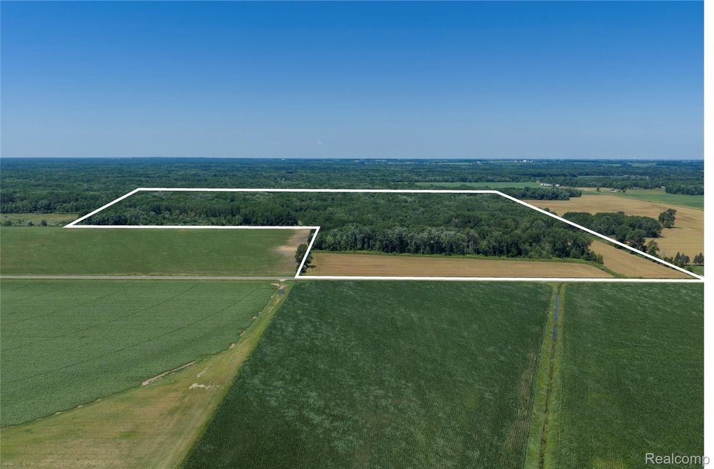 000 Dodge Rd, Ellington township