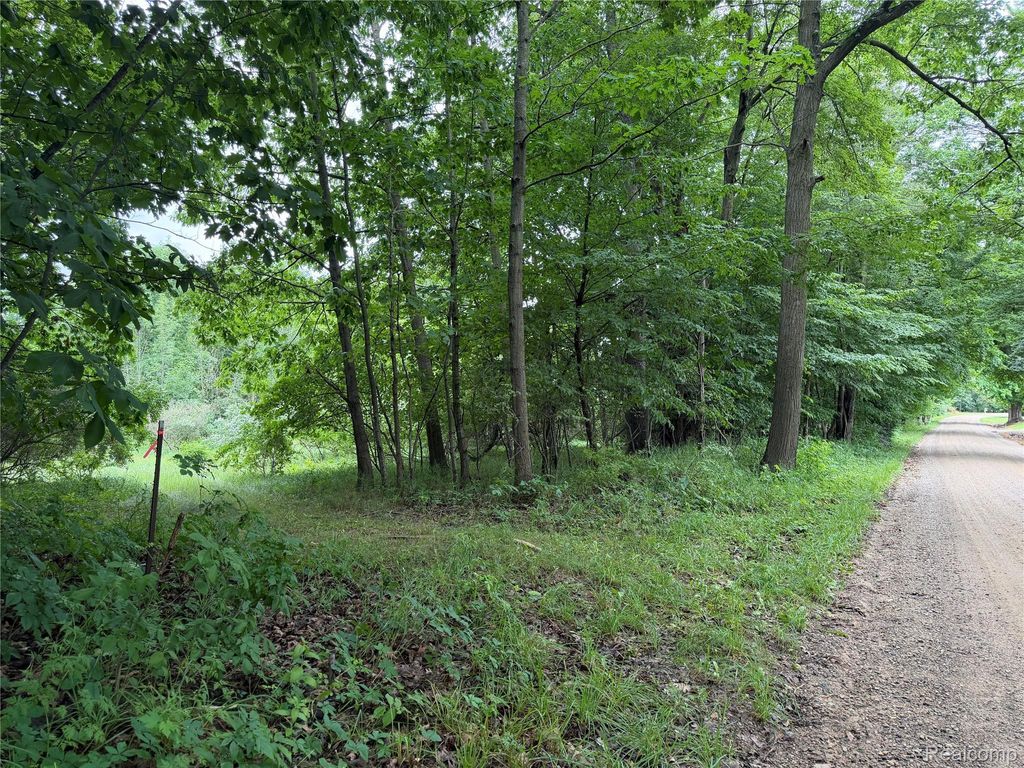 Stanton Lake Rd, Arcadia township
