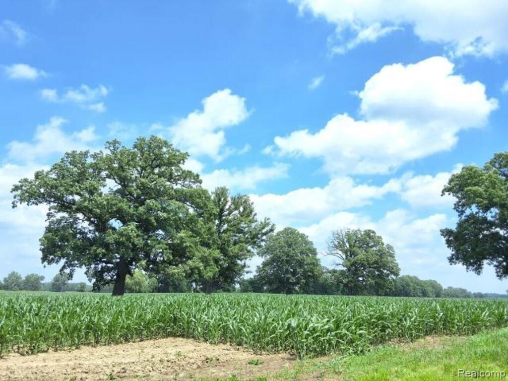 Auction Lot 94 Acres Capac Road, Berlin township