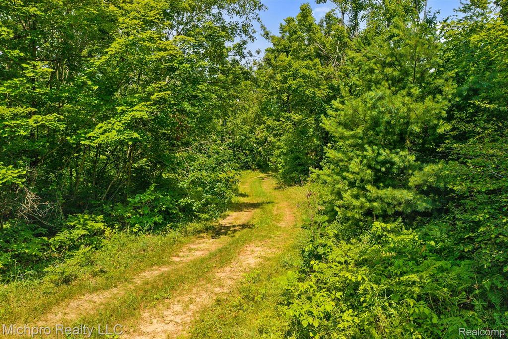 Vl Mckee Road, Vienna township