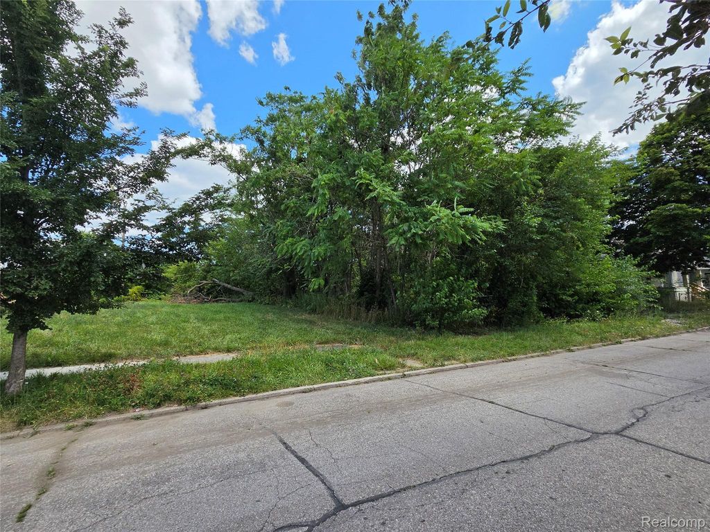 2528 Beals Street, Detroit city