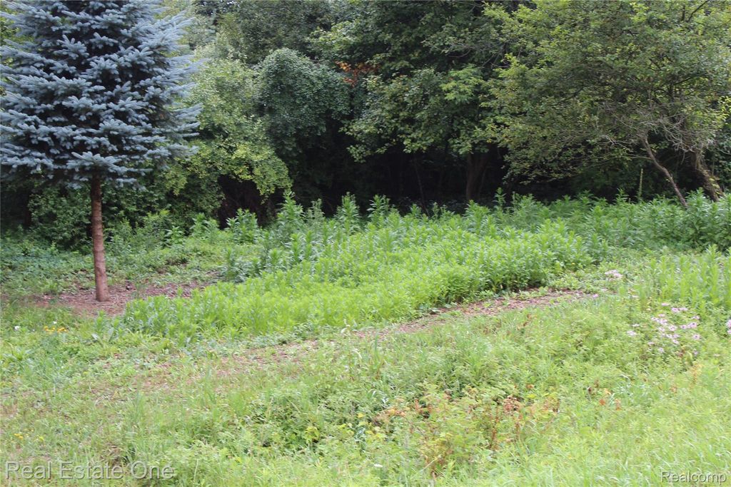 Lot 149 Greensboro Way, Butman township