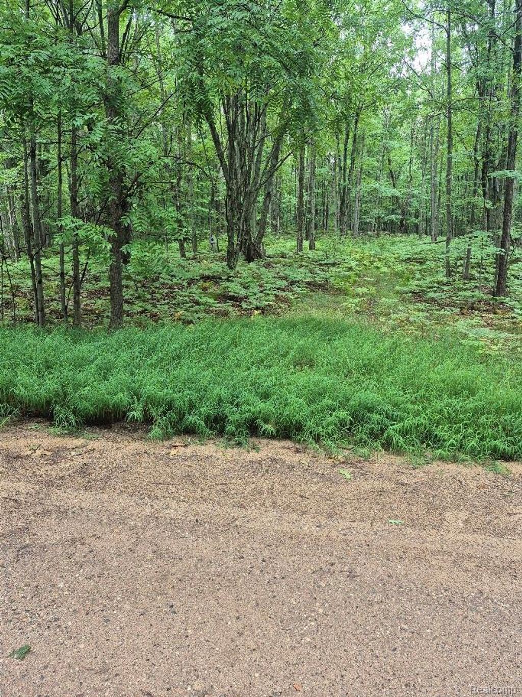 162 (lot 32) West Ridge Circle, Rose Lake township