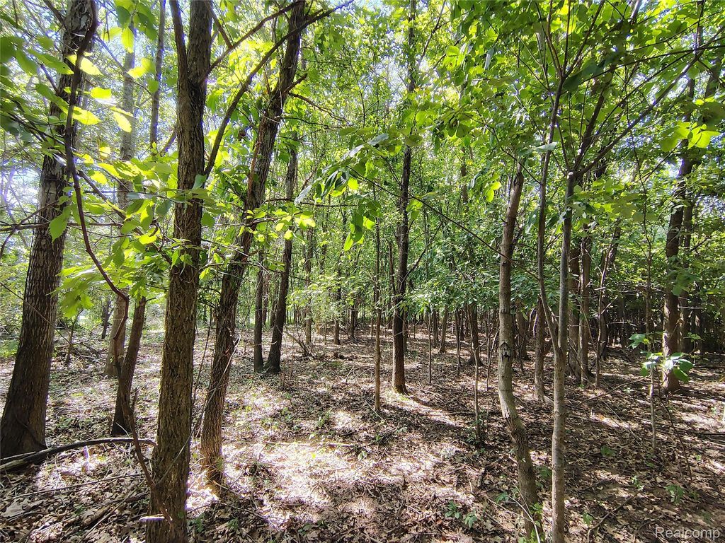 Parcel D Brigham Road, Hadley township