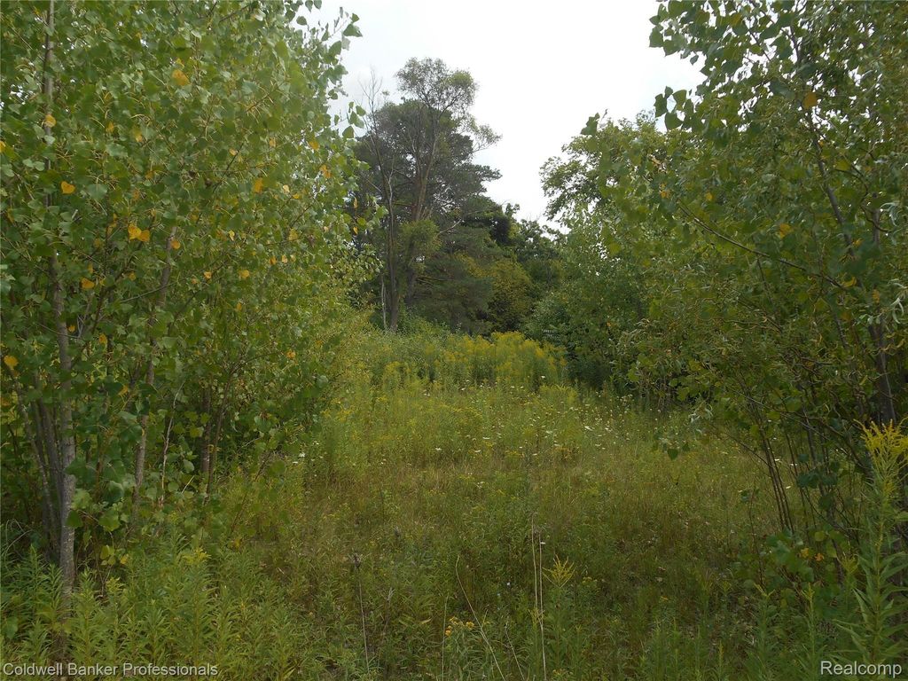 2448 Clayward Drive, Burton city