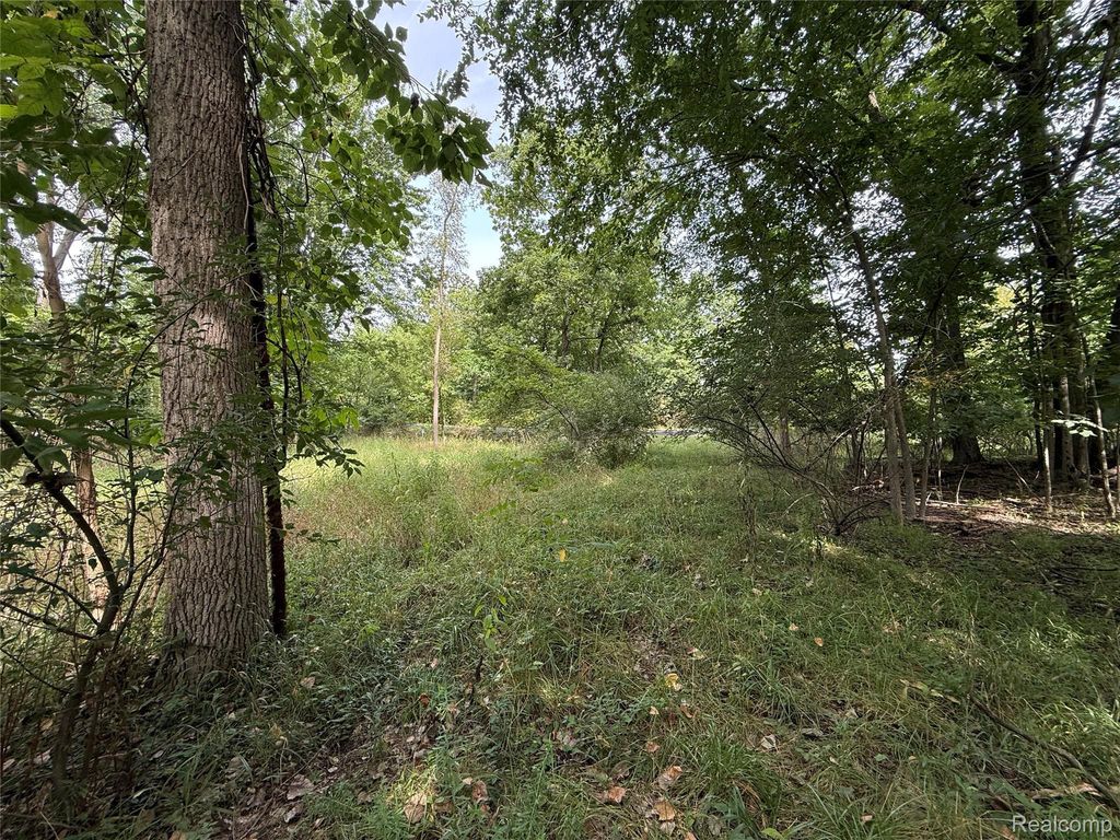 Lot 66 Preserve Drive, Tyrone township