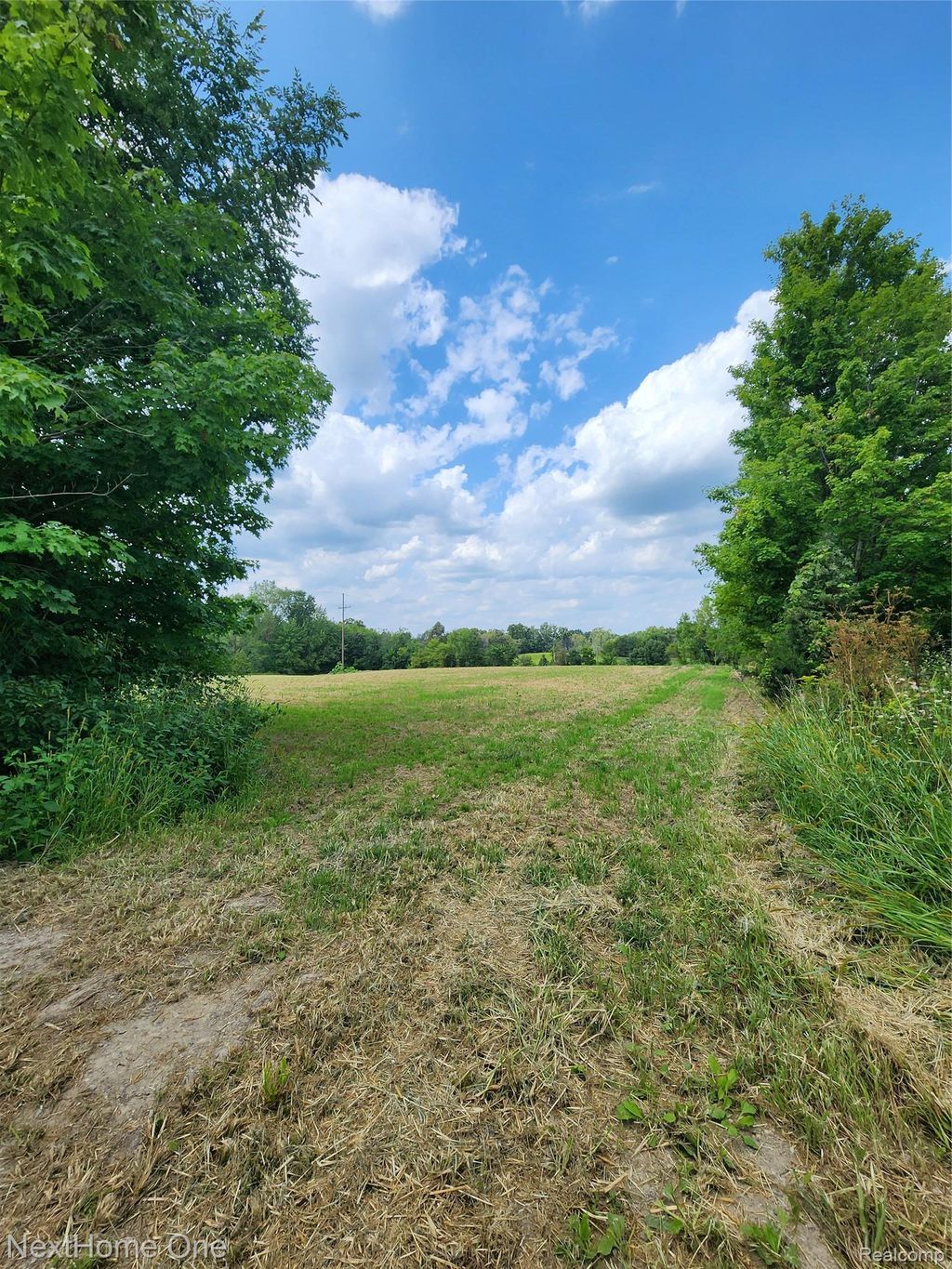 00 Musson Road, Oceola township