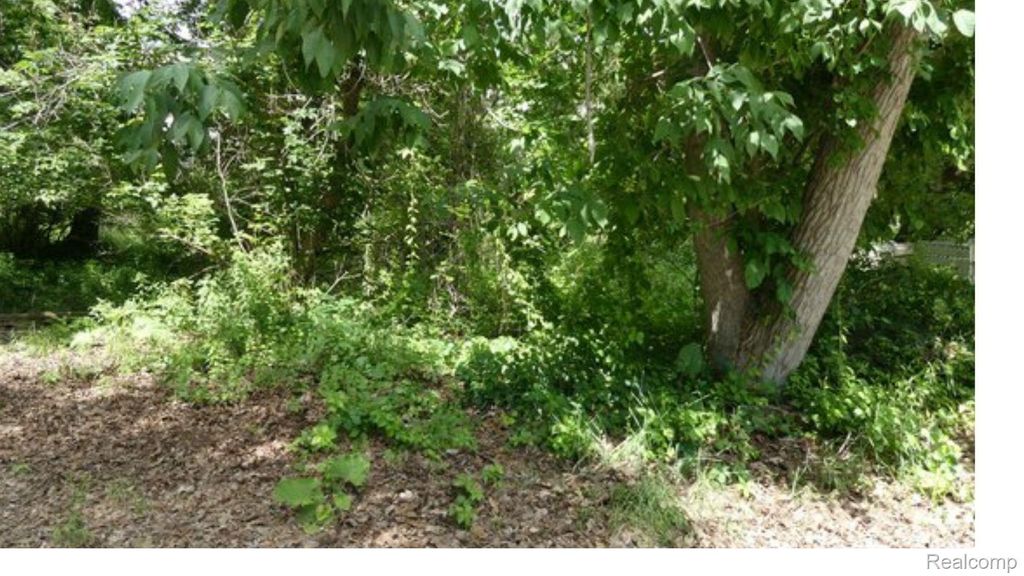 0000 Johnson Drive | Lot 4, Orion charter township