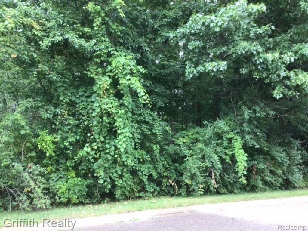 4473 Oak Pointe Drive, Genoa township