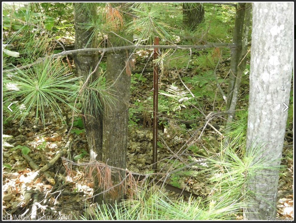 Bunny Run Vacant Houghton Bunny Run, Denton township