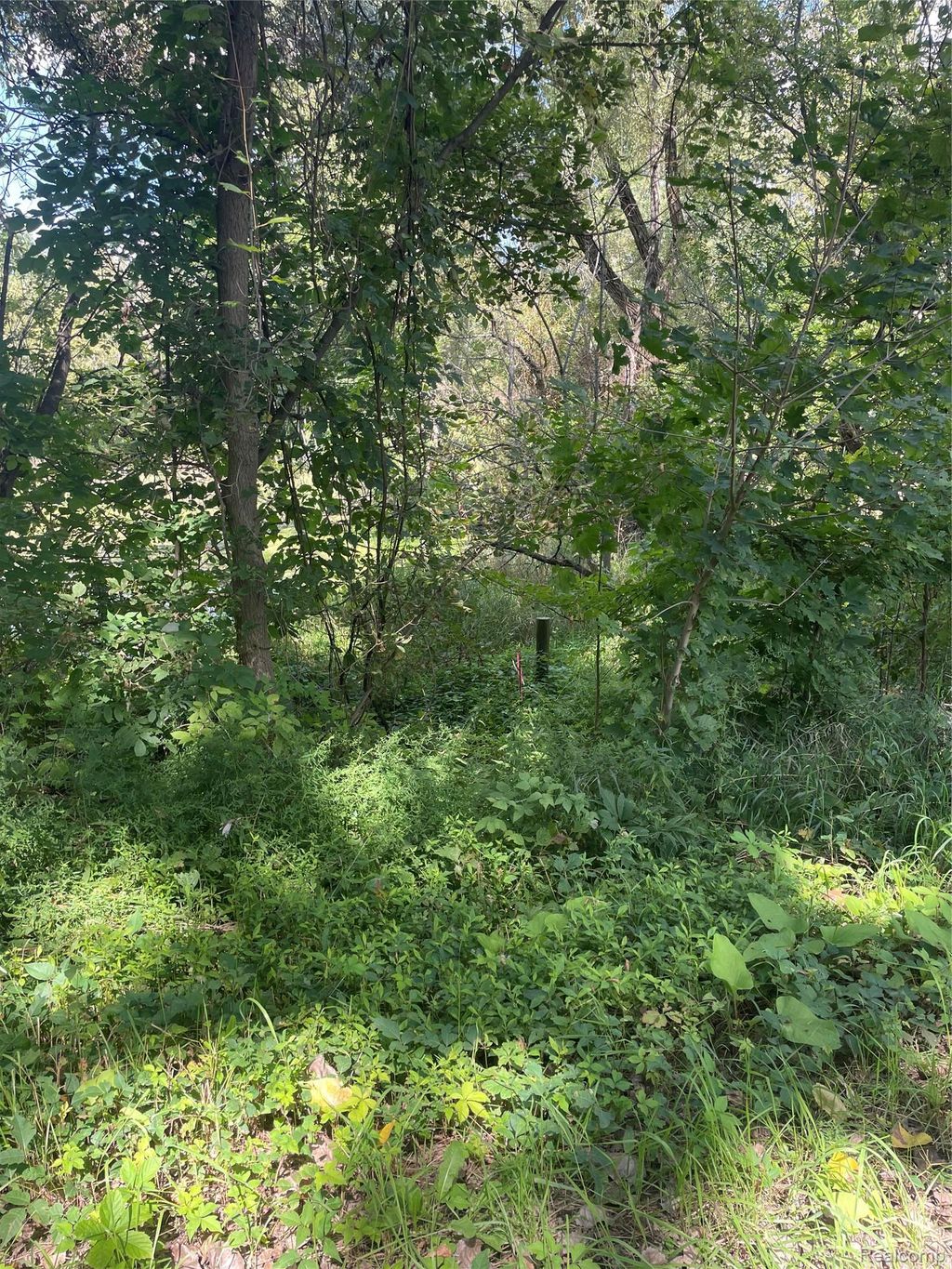 0000 Thom Road, Oregon township